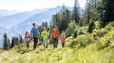 © Stefan Michael Kothner