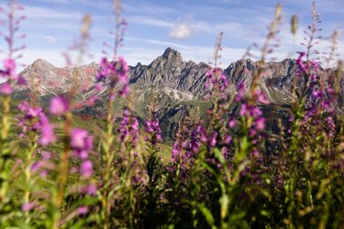 © Stefan Michael Kothner