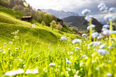 © Stefan Kothenr Photography